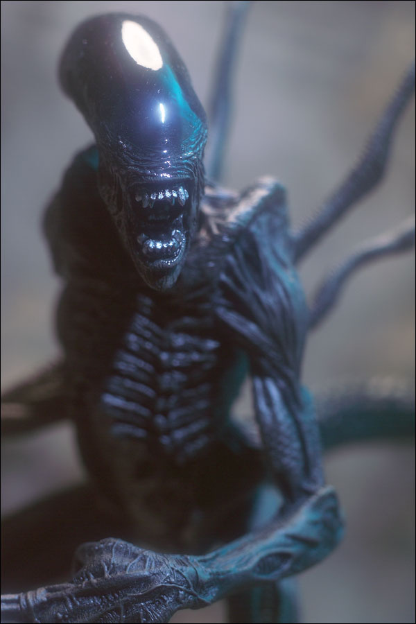 avp_battlealien_01.jpg